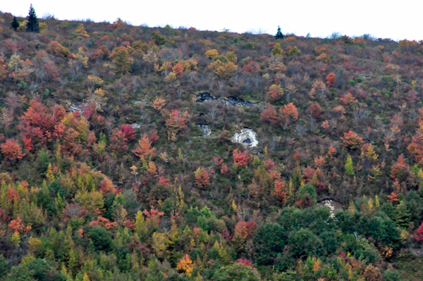 fall colors on The Blue Ridge Parkway